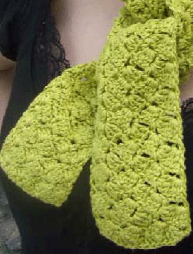 #424 Sarah’s Crochet Scarf
